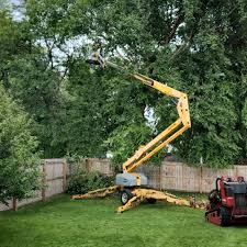 Reliable Chester, VA Tree Services Solutions