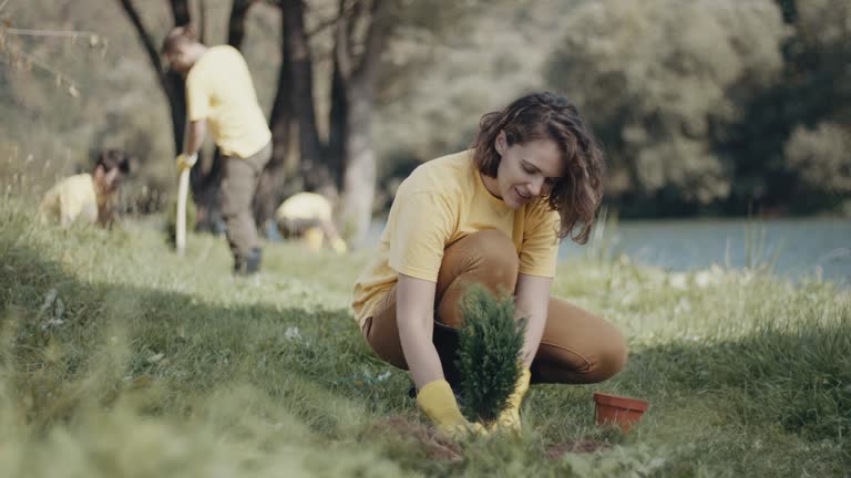 Best Lawn Pest Prevention  in Chester, VA